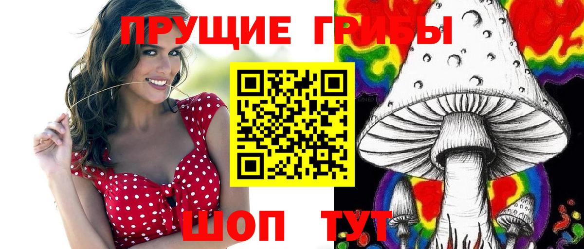 Псилоцибиновые грибы Psilocybine cubensis Камышлов
