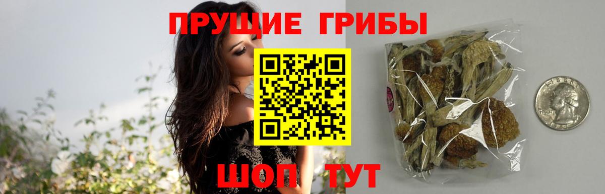 наркотики  Галлюциногенные грибы прущие грибы  Камышлов  Вход с VPN  Псилоцибиновые грибы мицелий 